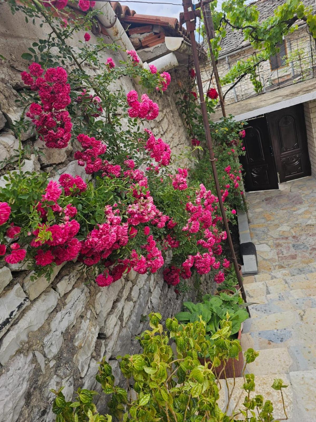 Luigi Guest House Gjirokastra Zewnętrze zdjęcie
