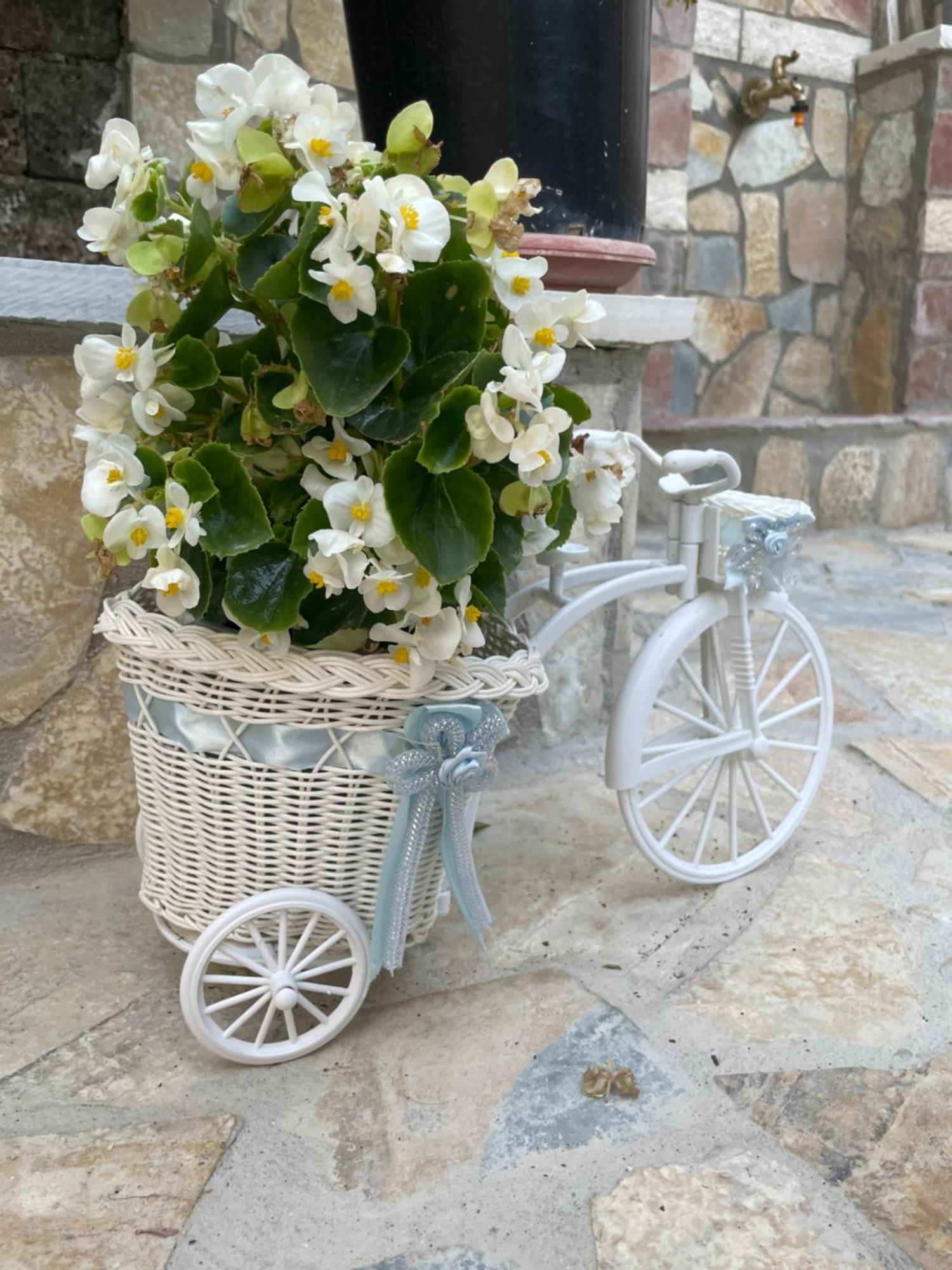 Luigi Guest House Gjirokastra Zewnętrze zdjęcie