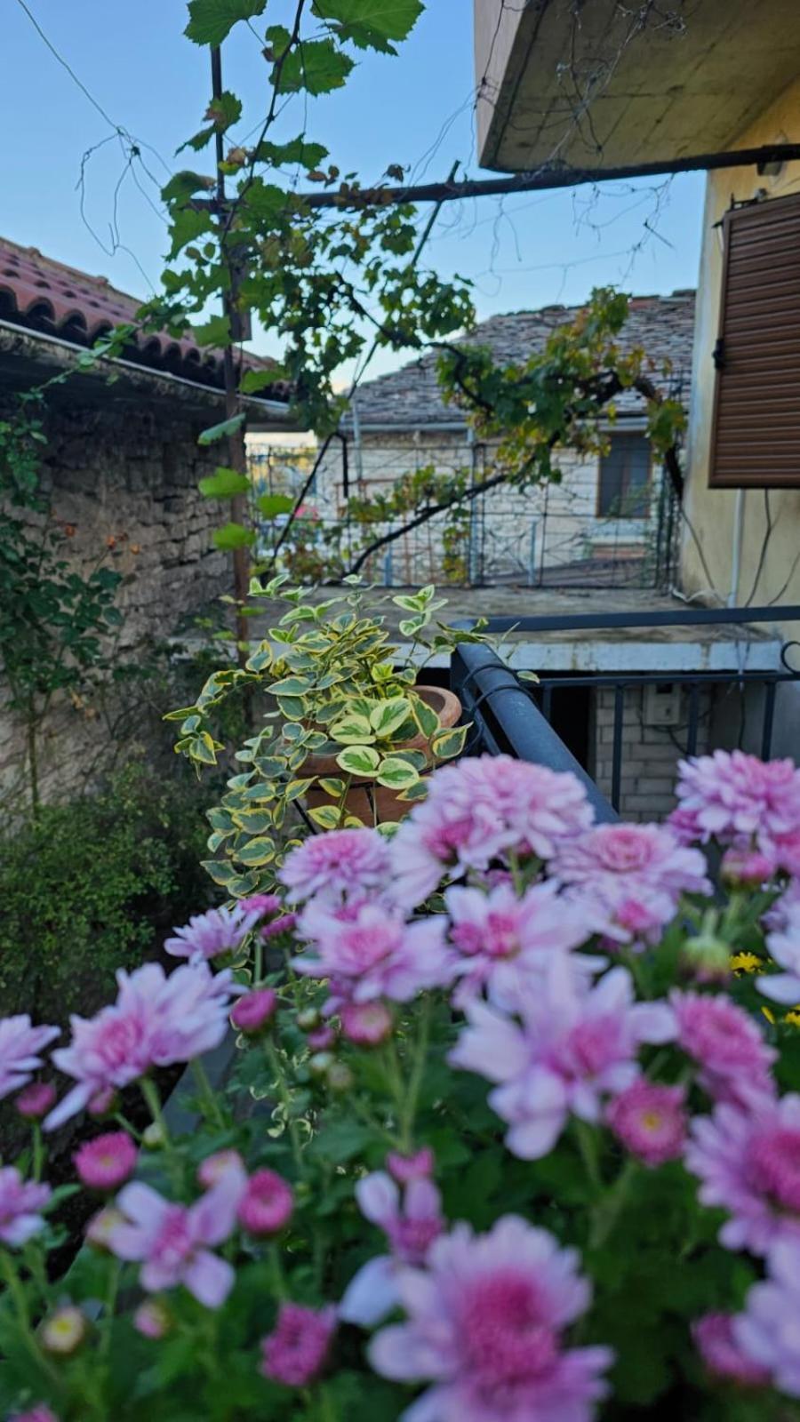 Luigi Guest House Gjirokastra Zewnętrze zdjęcie